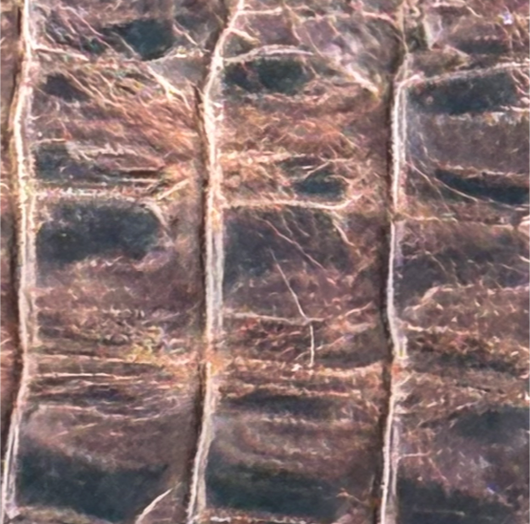 Braun, Krokoprägung